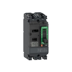 ComPacT NSX160M AC/DC 2-pole TMD trip unit, thermal-magnetic trip technology. 160-amp triprating, 690VAC/500VDC rated operational voltage, AC/DC network, 20,000 cycle mechanical durability,10,000 cycle electrical durability (277Vin), IP40 environmental protection, IEC/EN 60947-2
