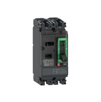 ComPacT NSX160M AC/DC 2-pole TMD trip unit, thermal-magnetic trip technology. 160-amp triprating, 690VAC/500VDC rated operational voltage, AC/DC network, 20,000 cycle mechanical durability,10,000 cycle electrical durability (277Vin), IP40 environmental protection, IEC/EN 60947-2