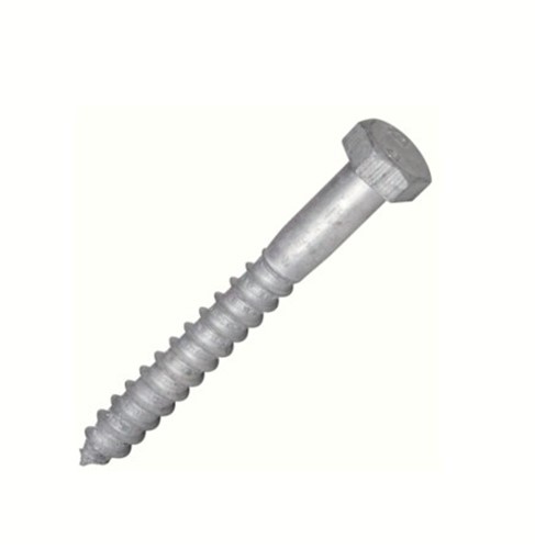 M8 65mm Galvanised coach screw AS1393