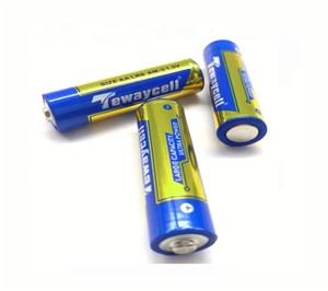 [T:Description]
Stay powered with these 1.5V 2500mAh AA LR6 Alkaline Batteries. These AA Alkaline batteries are the perfect power source for all your devices. From remote controls, wall clocks, grooming gadgets, and toys and games, these batteries will keep your devices running for longer. Plus, they’re great for torches and computer mice/keyboards too. Perfect for replacing old dead batteries, our batteries are reliable and great value. With our 1.5V 2500mAh AA LR6 Alkaline Batteries, you’ll never have to worry about being without power again. Don’t wait - get powered up with our batteries today.

[T:Tech Specs] 
- Nominal voltage: 1.5v 2500mAh
[BR]
- Type: Alkaline
[BR]
- Size: AA
[BR]
- Brand: CTECHI
[T:Uses]
[UL]- Remote Controls - Wall Clocks - Grooming Gadgets - Toys - Games - Torches[/UL]