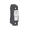 DFCC1 image