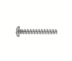 M2.5 x 6mm SS304 Pan Pozi Plastite Screw